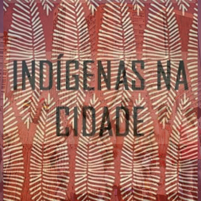 Nota da Conferência Indígena sobre a participação plural e interseccional