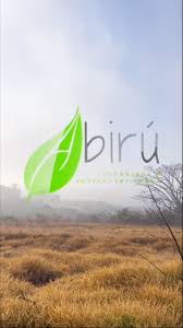 Abiru: Semear a Água, Trabalhar a Terra, Preservar a Vida, Gerar o Novo , Sustentar o Mundo